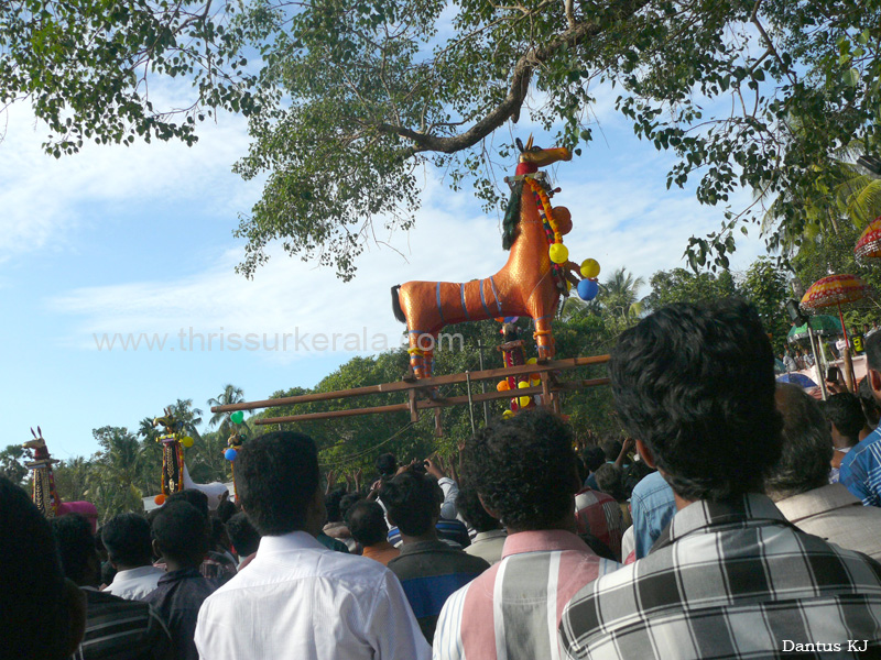 mangad-pooram-2013 (30)